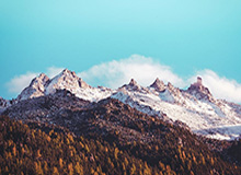 开云体育APP下载-男单短节目排名11 金博洋：对得起这四年的努力